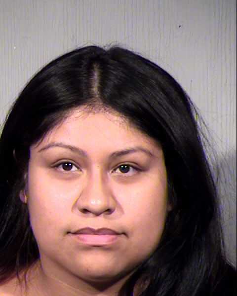 MICHELLE KARINA ESTRADA Mugshot / Maricopa County Arrests / Maricopa County Arizona