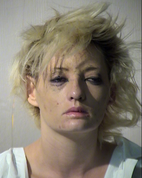 SARAH MARIE NIELSEN Mugshot / Maricopa County Arrests / Maricopa County Arizona