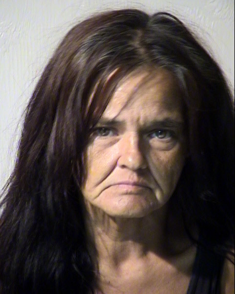 WINNETA MARIE LAMKEN Mugshot / Maricopa County Arrests / Maricopa County Arizona