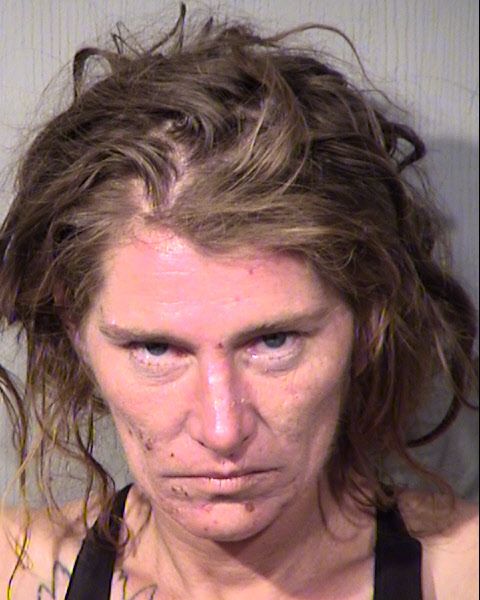 CATHLEEN MARIE GOLDEN Mugshot / Maricopa County Arrests / Maricopa County Arizona