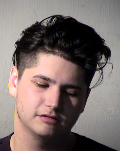 ANDREW JOSEPH ARNOLD Mugshot / Maricopa County Arrests / Maricopa County Arizona