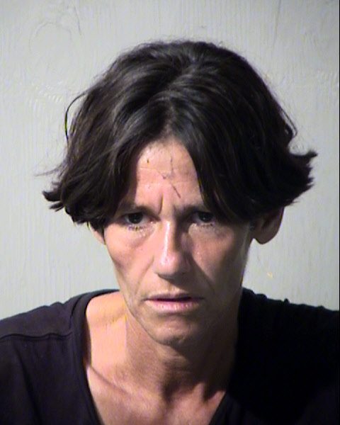 MICHELE MARIE STINEBUCK Mugshot / Maricopa County Arrests / Maricopa County Arizona