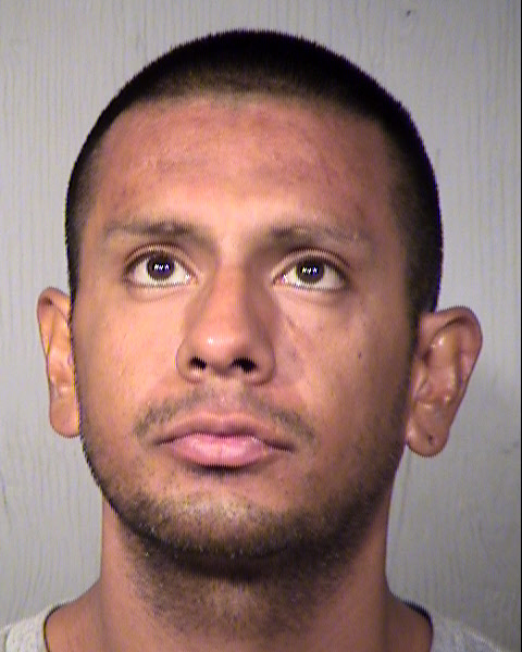 TERRY MARK JOHNSON Mugshot / Maricopa County Arrests / Maricopa County Arizona