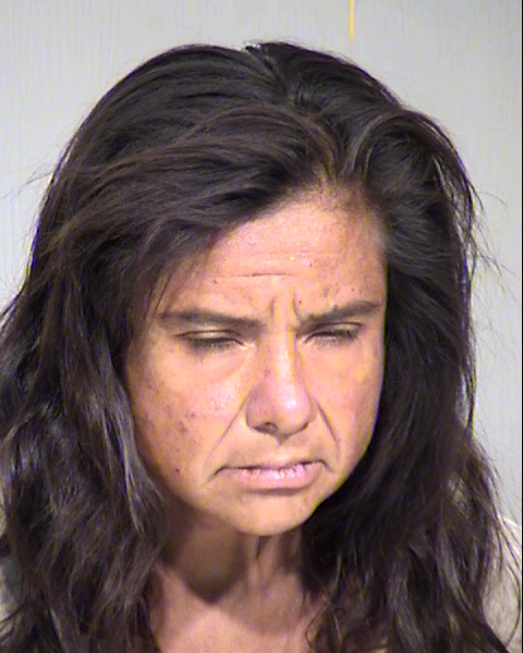SANDRA ANN SALAS Mugshot / Maricopa County Arrests / Maricopa County Arizona