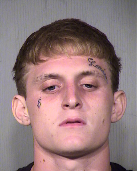 TRISTYN ROY VICKERS Mugshot / Maricopa County Arrests / Maricopa County Arizona