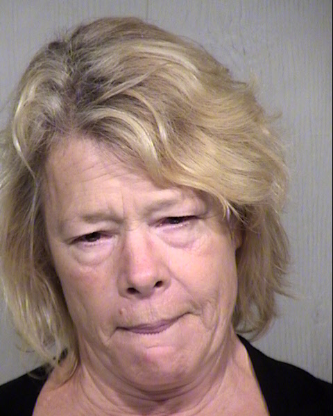 ANN MICHELLE WILSON Mugshot / Maricopa County Arrests / Maricopa County Arizona