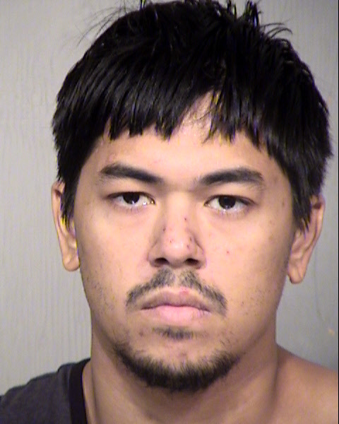 JOSHUA VERNON IRWIN Mugshot / Maricopa County Arrests / Maricopa County Arizona