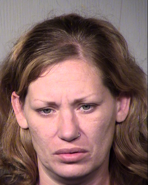 JESSICA B YOUNG Mugshot / Maricopa County Arrests / Maricopa County Arizona
