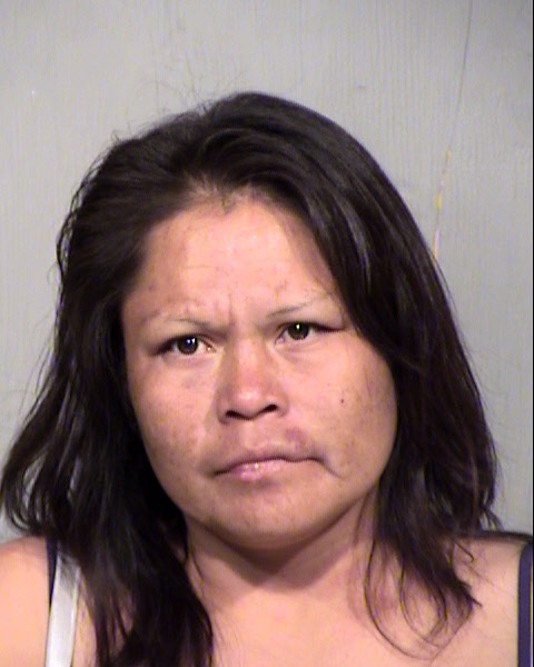 AMANDA MAIZIE GISHIE Mugshot / Maricopa County Arrests / Maricopa County Arizona