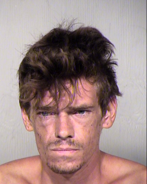 TIMOTHY MICHAEL LAWSON Mugshot / Maricopa County Arrests / Maricopa County Arizona