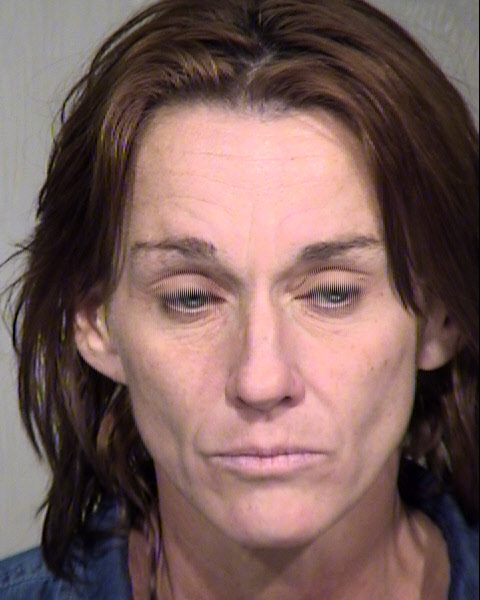 MELINDA L HAUSNER Mugshot / Maricopa County Arrests / Maricopa County Arizona