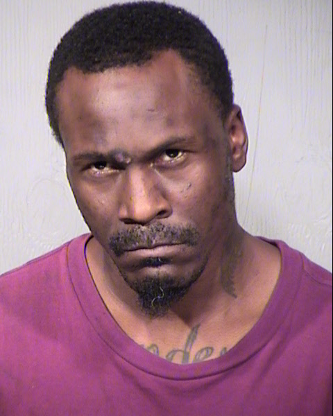 MICHAEL A FELTON Mugshot / Maricopa County Arrests / Maricopa County Arizona