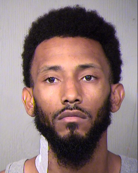 BRYAN DWAYNE JENKINS Mugshot / Maricopa County Arrests / Maricopa County Arizona