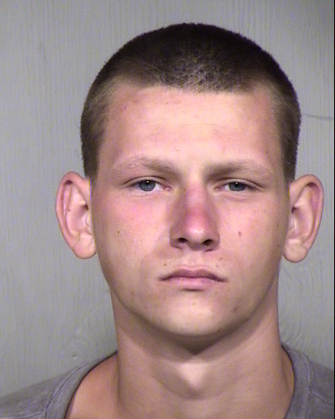 BRAYDAN CHRISTOPHER BREEDLOVE Mugshot / Maricopa County Arrests / Maricopa County Arizona