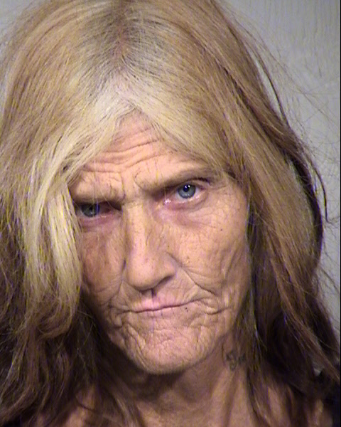 NANCY CHASON Mugshot / Maricopa County Arrests / Maricopa County Arizona