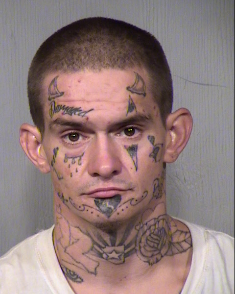 RICHARD DAVID HOWELLS Mugshot / Maricopa County Arrests / Maricopa County Arizona