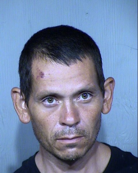 DREW AARON JARNAGIN Mugshot / Maricopa County Arrests / Maricopa County Arizona