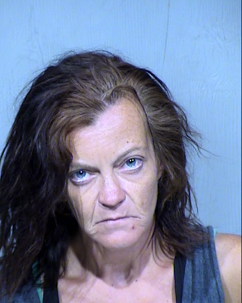 AMY FRANCIS SMITH Mugshot / Maricopa County Arrests / Maricopa County Arizona