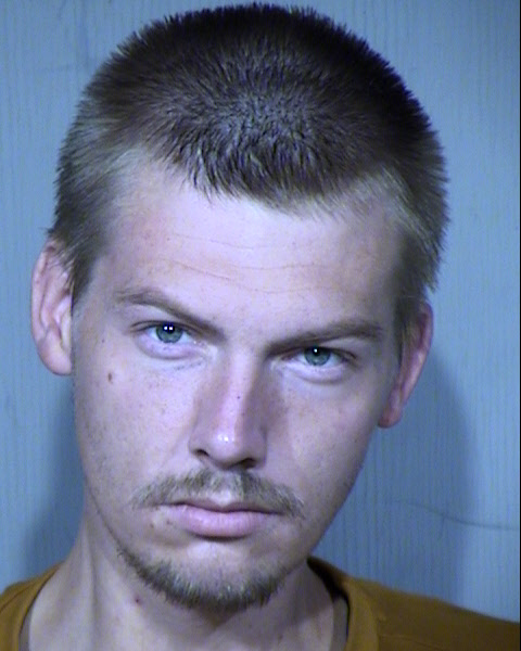 ALEX EMMETT ARNELL Mugshot / Maricopa County Arrests / Maricopa County Arizona