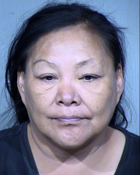 BRENDA LEE Mugshot / Maricopa County Arrests / Maricopa County Arizona