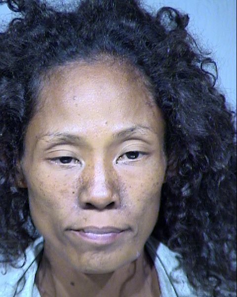 CARLITA ELAINE POUNDS Mugshot / Maricopa County Arrests / Maricopa County Arizona