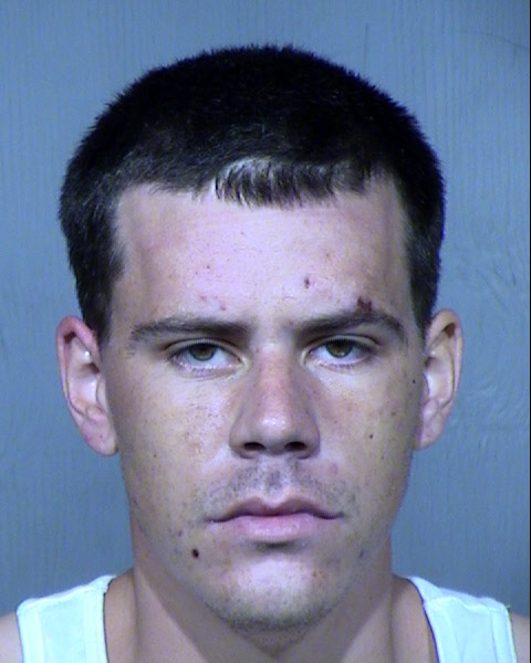 HARRY LEE YOUNG Mugshot / Maricopa County Arrests / Maricopa County Arizona