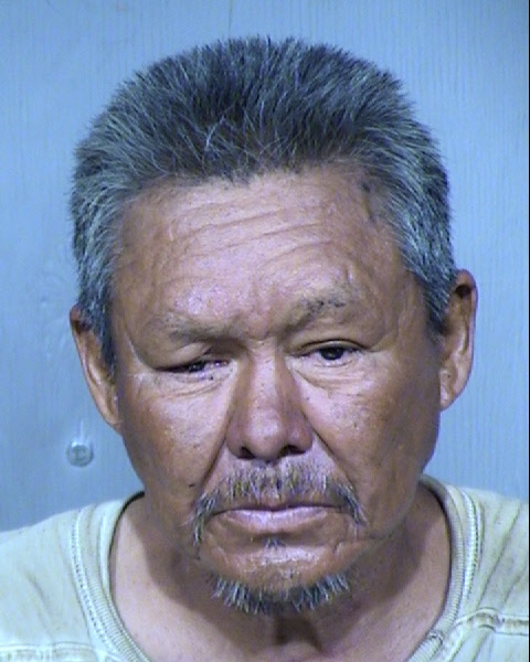 WAYLON KEE SALT Mugshot / Maricopa County Arrests / Maricopa County Arizona