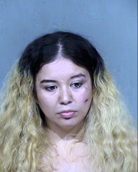 ANA KAREN SANDOVAL PIZANA Mugshot / Maricopa County Arrests / Maricopa County Arizona