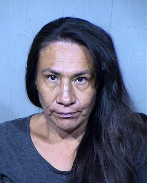 DONNA MARJORIE ROBBINS Mugshot / Maricopa County Arrests / Maricopa County Arizona