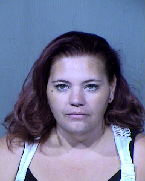 JENNIFER SHANNON SKINNER Mugshot / Maricopa County Arrests / Maricopa County Arizona