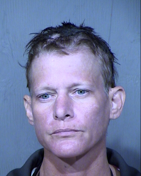 TAMMY RAY BARNES Mugshot / Maricopa County Arrests / Maricopa County Arizona