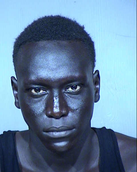 EMMANUEL K LOU Mugshot / Maricopa County Arrests / Maricopa County Arizona