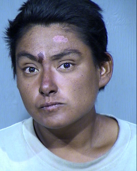 ERIKA ROSE GERARDO Mugshot / Maricopa County Arrests / Maricopa County Arizona