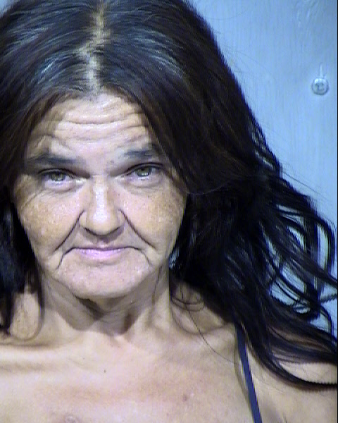 WINNETA MARIE LAMKEN Mugshot / Maricopa County Arrests / Maricopa County Arizona