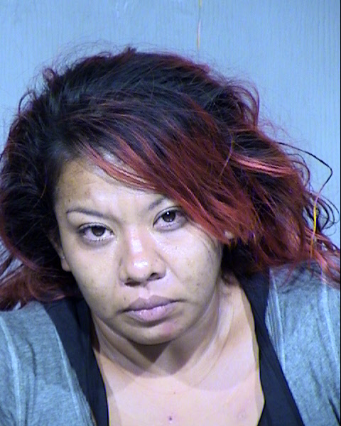 MARIA E BEJINES Mugshot / Maricopa County Arrests / Maricopa County Arizona