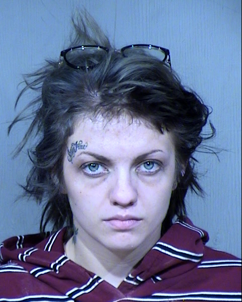 LILLY F PFEFFER Mugshot / Maricopa County Arrests / Maricopa County Arizona