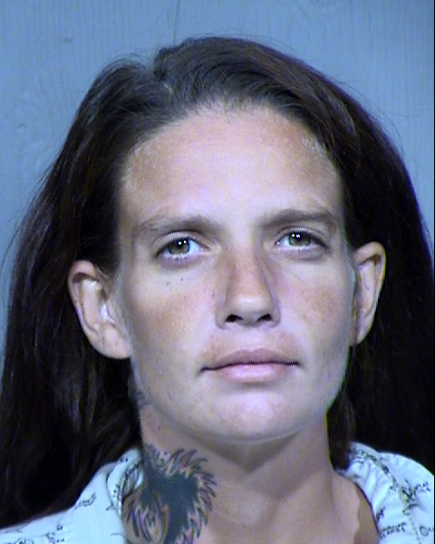 CARRIE P PERRIN Mugshot / Maricopa County Arrests / Maricopa County Arizona