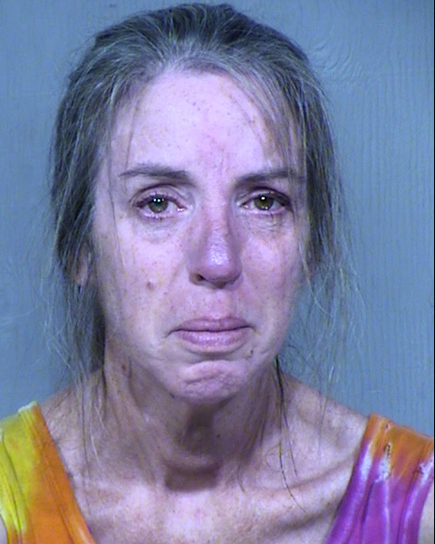 ELIZABETH HANNA Mugshot / Maricopa County Arrests / Maricopa County Arizona
