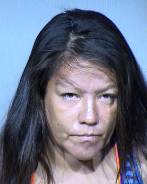 NICOLE M JENKINS Mugshot / Maricopa County Arrests / Maricopa County Arizona