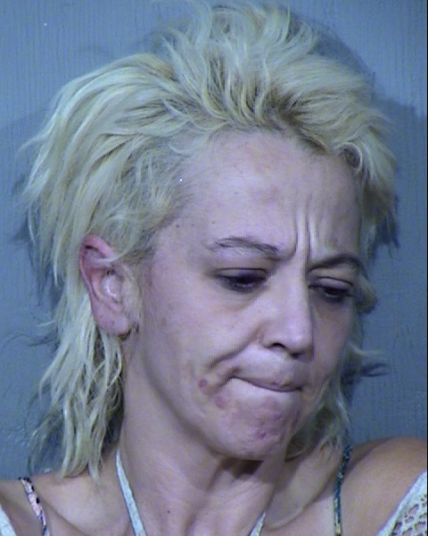 MELINDA JOANN MOLNAR Mugshot / Maricopa County Arrests / Maricopa County Arizona