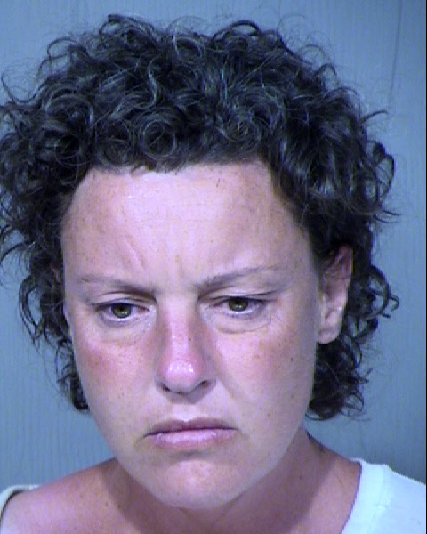 HEATHER LYNN LAWSON Mugshot / Maricopa County Arrests / Maricopa County Arizona