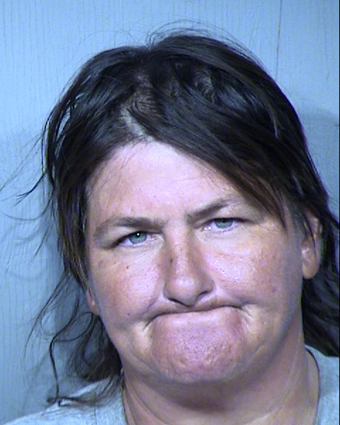 TERESE FRIEND Mugshot / Maricopa County Arrests / Maricopa County Arizona