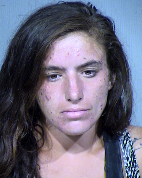 LAUREN ELYSE ROTHSCHILD Mugshot / Maricopa County Arrests / Maricopa County Arizona