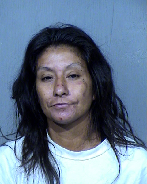 APRIL ISABEL HERNANDEZ Mugshot / Maricopa County Arrests / Maricopa County Arizona