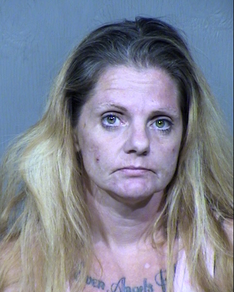 CHRISTY ANN HUNTER Mugshot / Maricopa County Arrests / Maricopa County Arizona