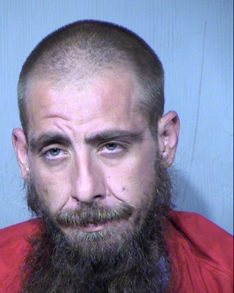 DAVID MICHAEL LEVINE Mugshot / Maricopa County Arrests / Maricopa County Arizona