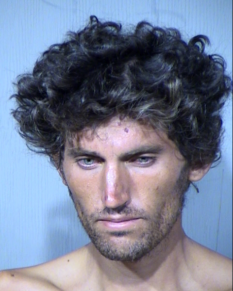 FRANCIS MITCHELL SKILNIK Mugshot / Maricopa County Arrests / Maricopa County Arizona