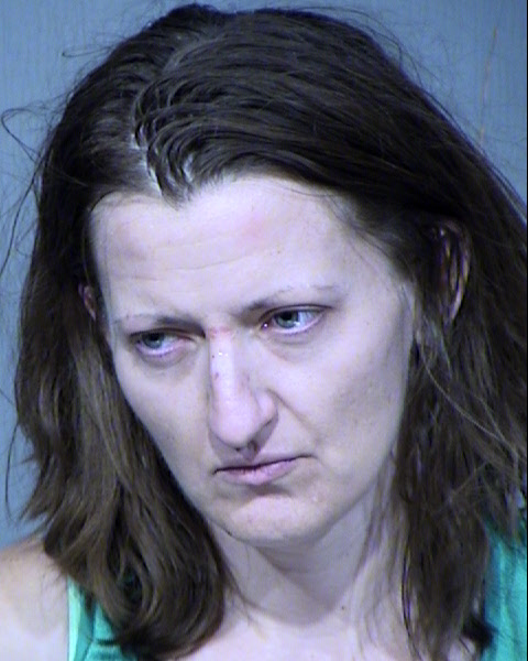 MELISSA SUSAN ANDERSON Mugshot / Maricopa County Arrests / Maricopa County Arizona