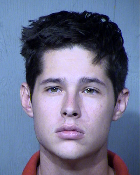 JEREMY OLSEN Mugshot / Maricopa County Arrests / Maricopa County Arizona