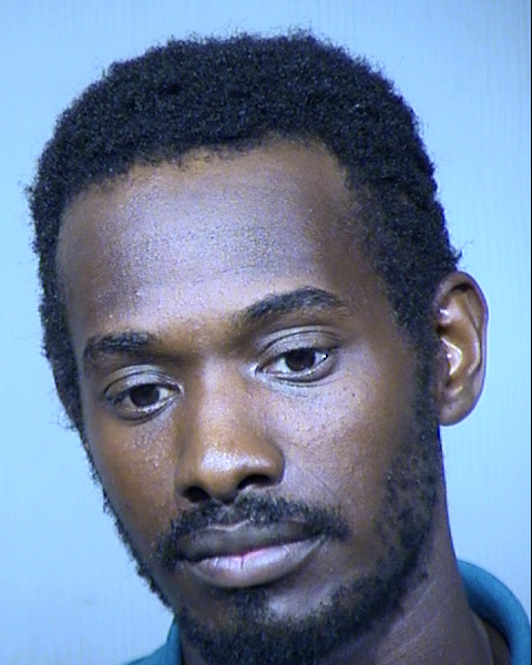 RONALD LYNN ROBINS Mugshot / Maricopa County Arrests / Maricopa County Arizona